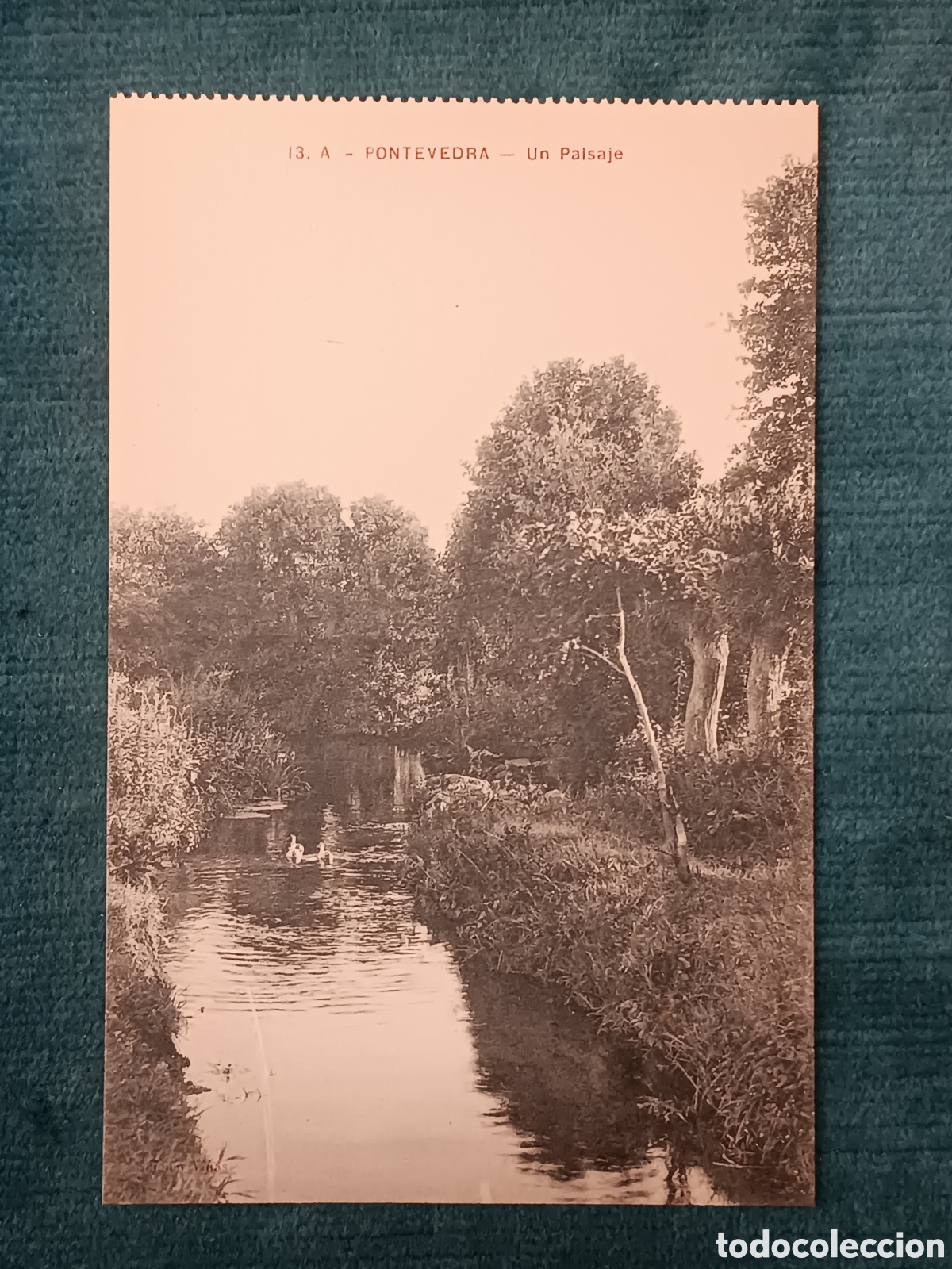 Postales: 13 A. PONTEVEDRA. Un Paisaje
