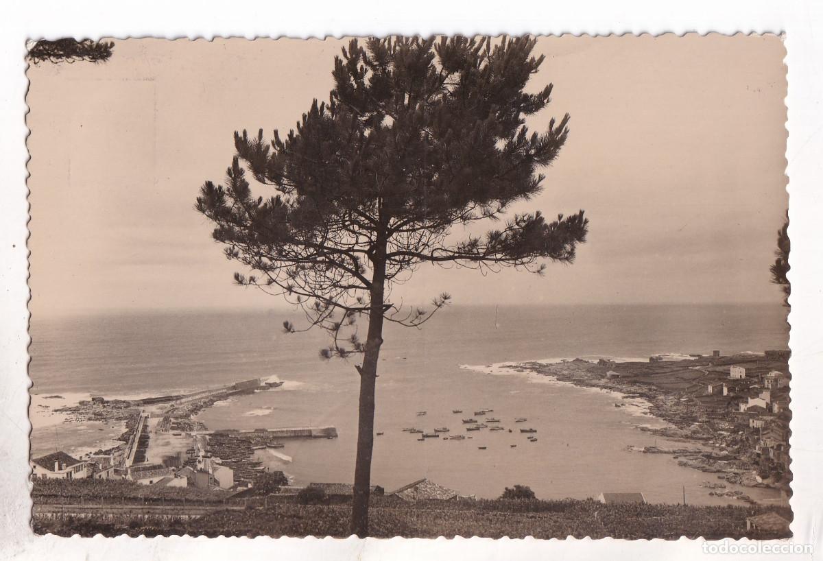 Postales: POSTAL. 11. LA GUARDIA. MONTE SANTA TECLA. PANORAMA DEL PUERTO. PONTEVEDRA. GALICIA