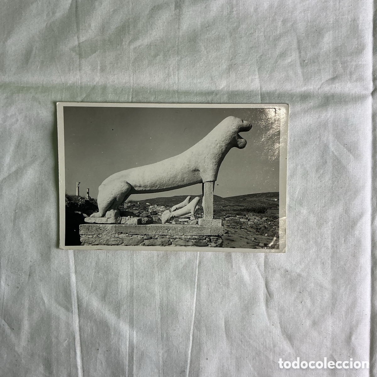 Postales: Postal Le&oacute;n de Delos Grecia Blanco y negro Original de la &eacute;poca 1954