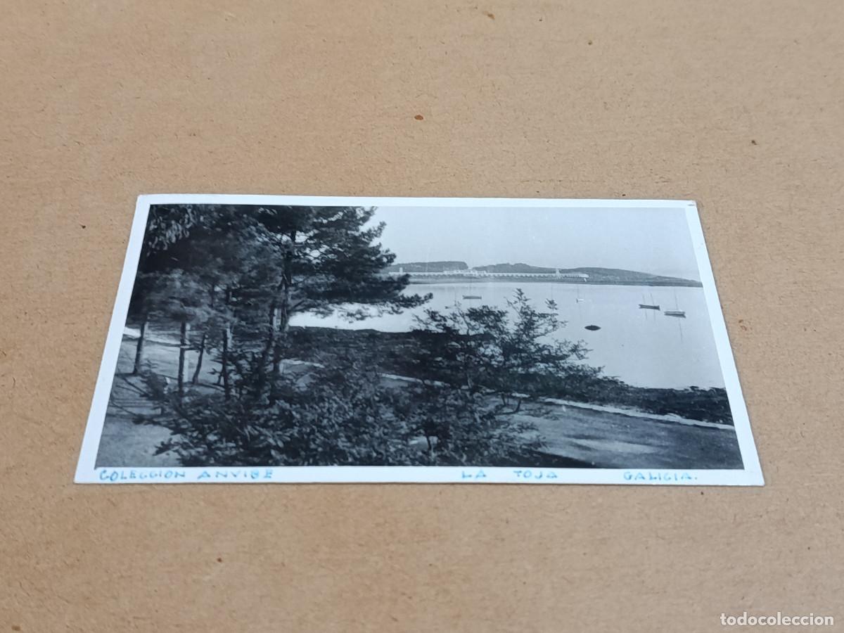 Postales: PONTEVEDRA - POSTAL LA TOJA - COLECCI&Oacute;N ANVIBE