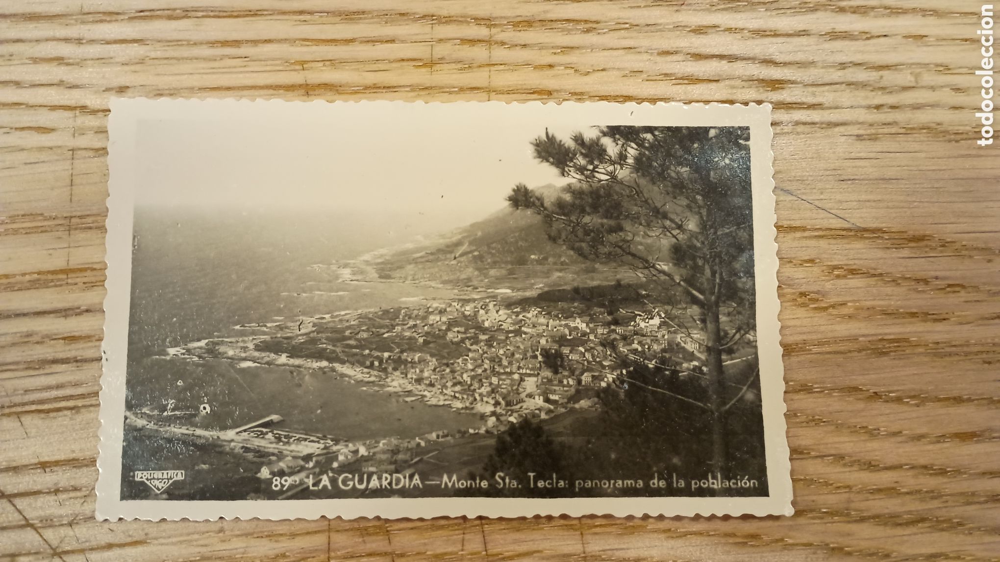 Postales: LA GUARDIA (PONTEVEDRA) - MONTE SANTA TECLA - PANORAMA DE LA POBLACI&Oacute;N - POLIGR&Aacute;FICA VIGO