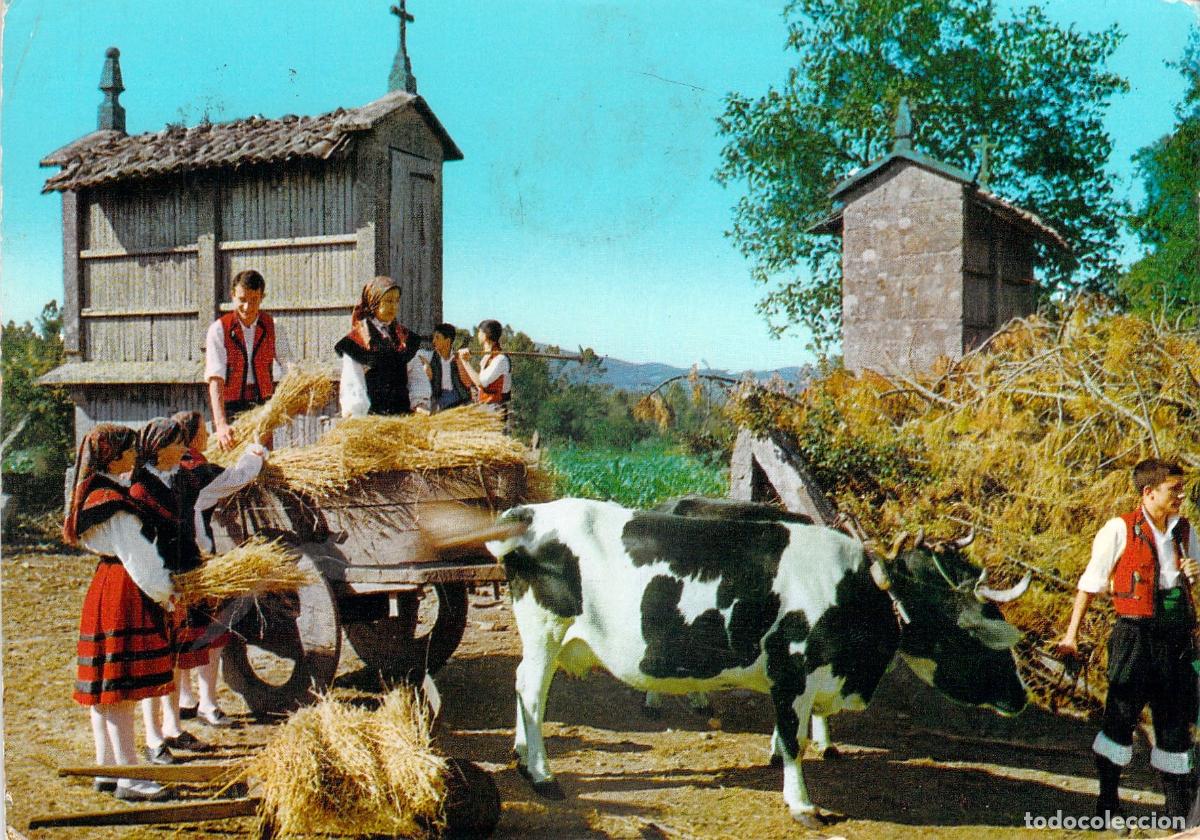 Postales: Postal de folclore gallego con escena de cosecha de trigo
