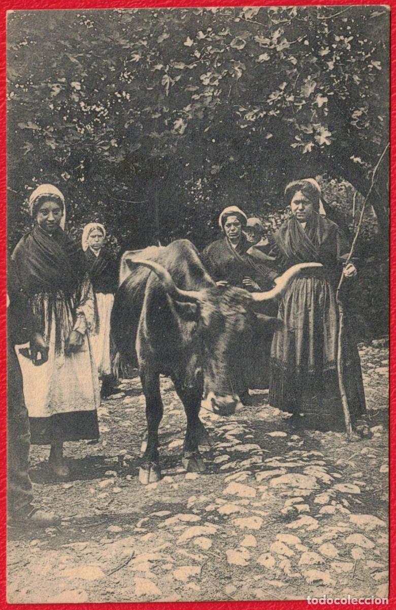 Postales: Galicia - Tipos del pais - Ganaderas con res