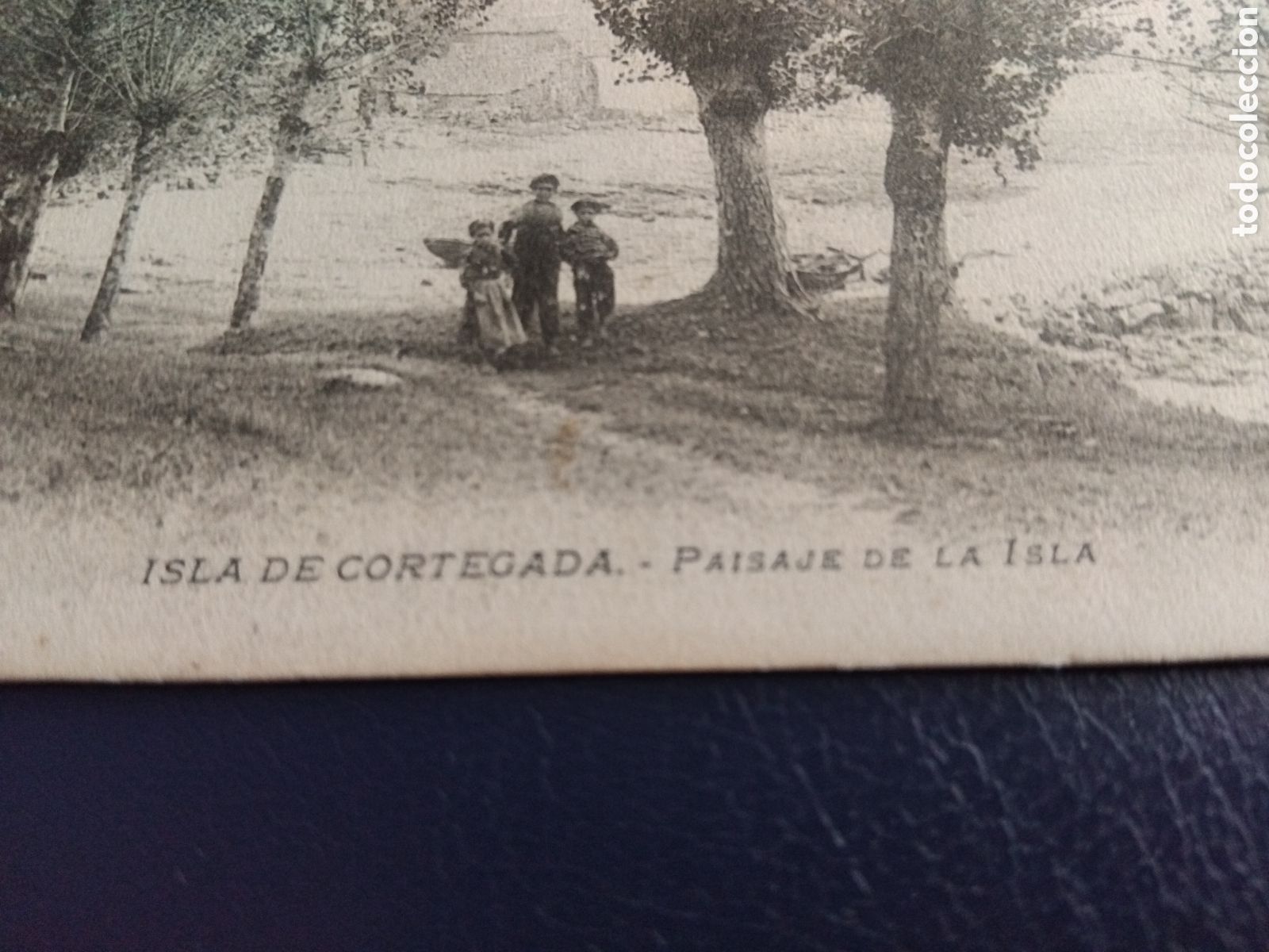 Postales: Postal Isla de Cortegada. Paisaje de la isla - Foto 3
