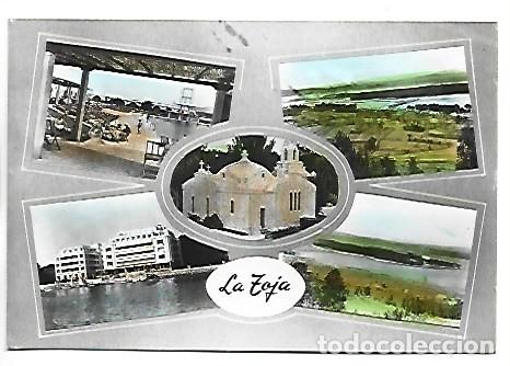 Postales: ISLA DE LA TOJA - PONTEVEDRA