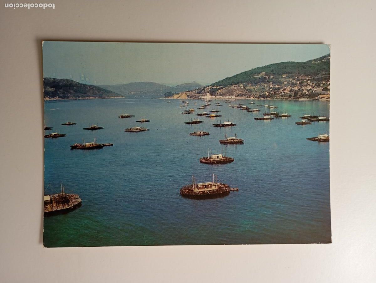 Postkarten: POSTAL DE VIGO. BATEAS DE LA R&Iacute;A. TDKP30G