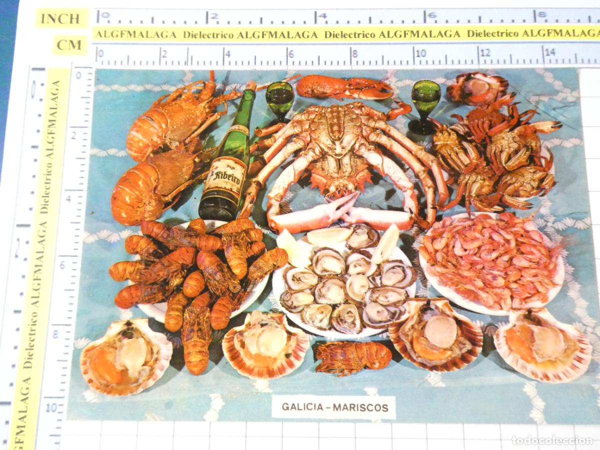 Postales: POSTAL DE PONTEVEDRA. A&Ntilde;O 1973. GASTRONOM&Iacute;A T&Iacute;PICA GALLEGA MARISCOS VINO RIBEIRO 3064 FAMA. 2502