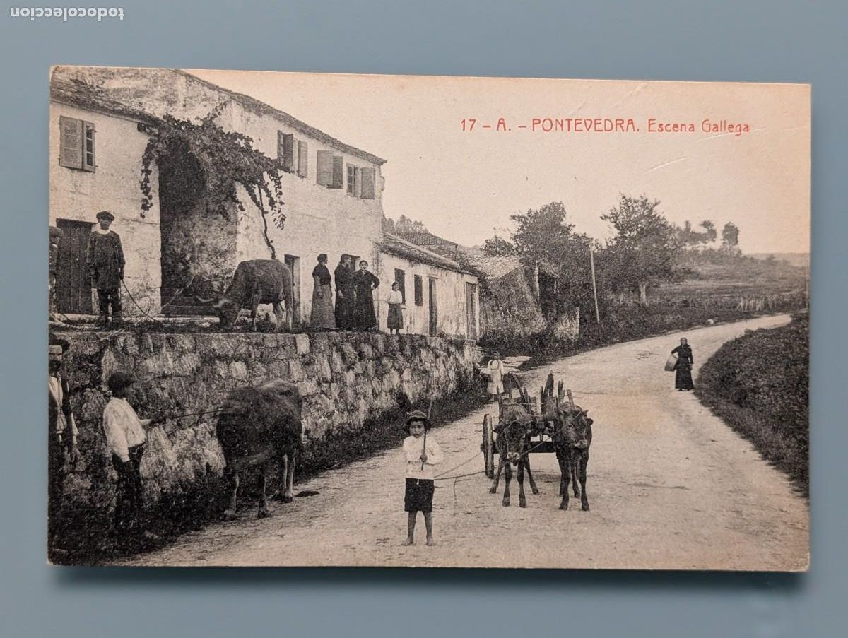 Postales: RARA POSTAL PONTEVEDRA N&deg; 17 ESCENA GALLEGA GALICIA TIPOS GALLEGOS COSTUMBRES GALLEGAS