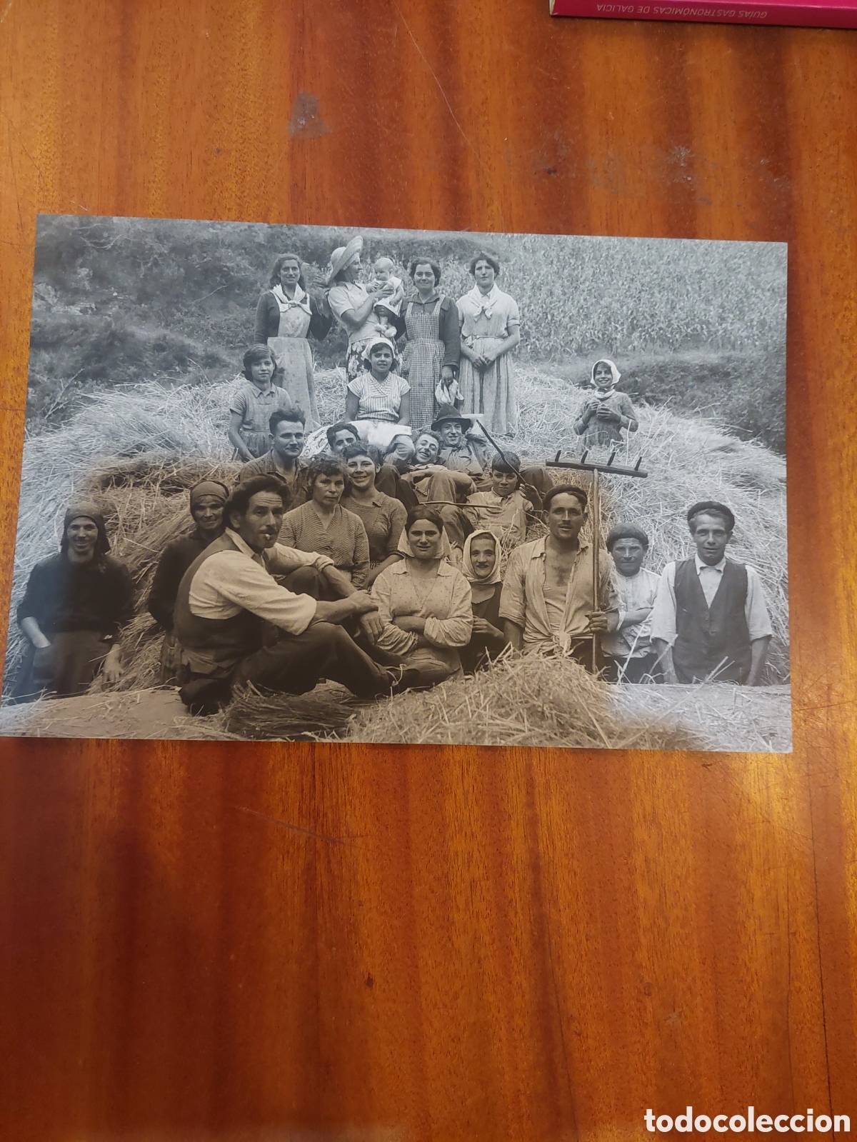 Postales: POSTAL FOTOGRAFICA EDELMIRO MENDE DA TERRA DE LEMOS MONFORTE LUGO.