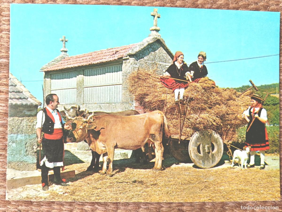 Postales: GALICIA - A ANADA - ED. ARRIBAS