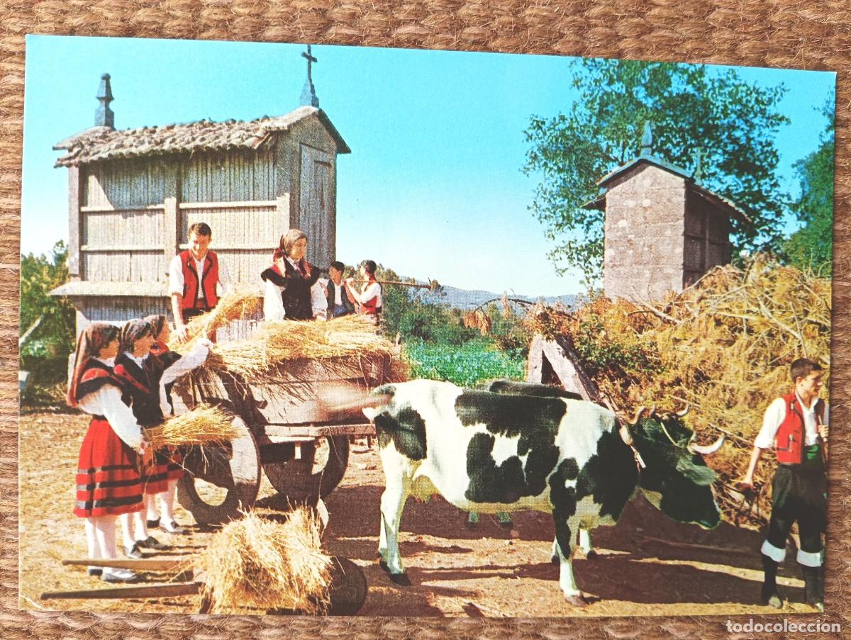 Postales: FOLKLORE GALLEGO - GAVEXANDOO TRIGO - ED. ALARDE
