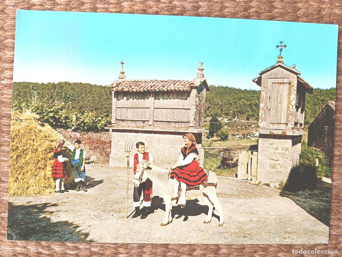 Postales: FOLKLORE GALLEGO - CAMI&Ntilde;O DA BRA&Ntilde;A - ED. ALARDE