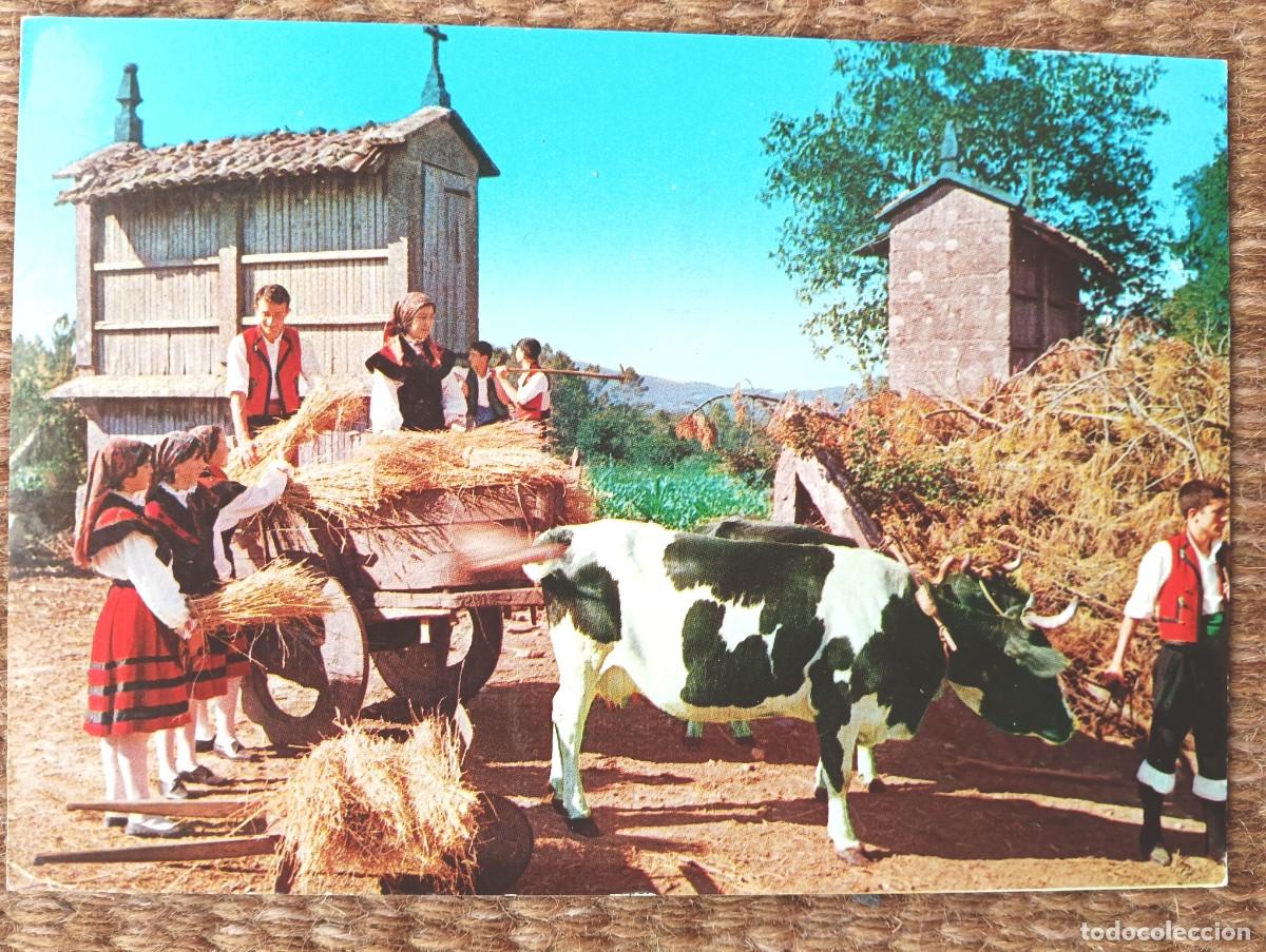 Postales: FOLKLORE GALLEGO - GAVEXANDO O TRIGO - ED. ALARDE