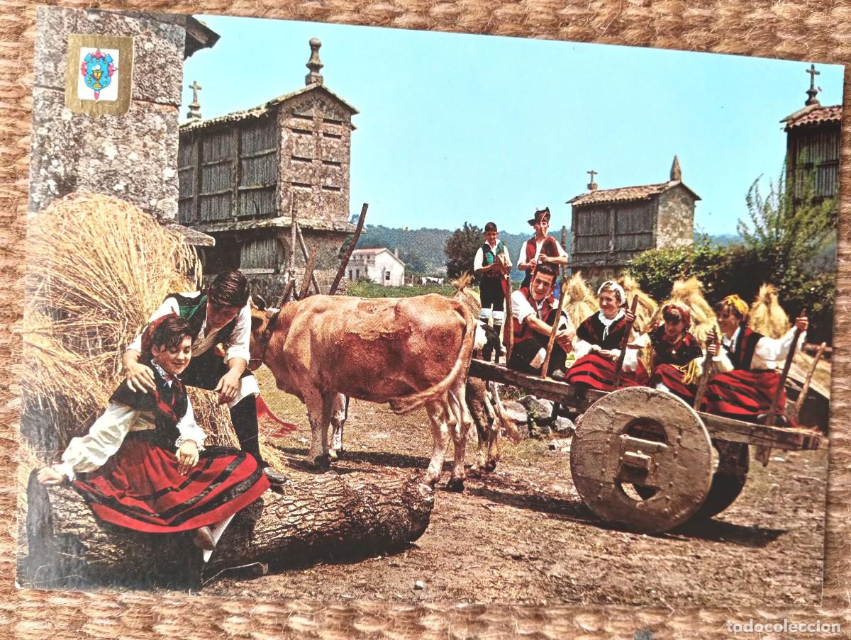 Postales: GALICIA - ENGAYOLANDO - ED. DOMINGUEZ