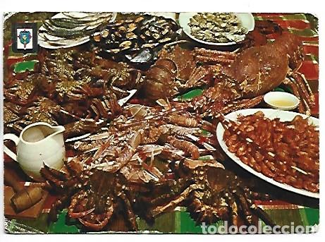 Postales: MARISCOS - SHELL-FISH.- GALICIA - Foto 1