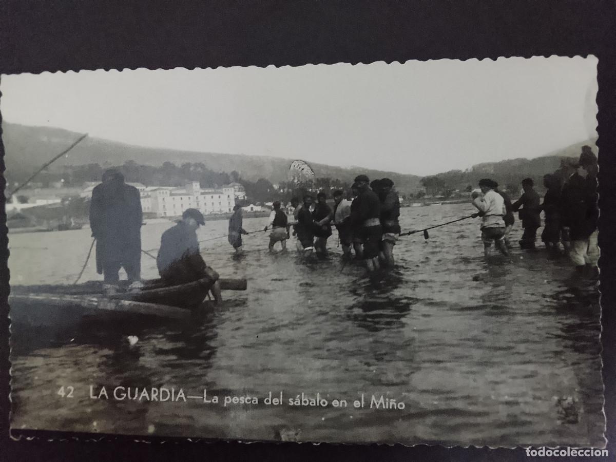 Postales: Postal de La Guardia, Pontevedra. La pesca del s&aacute;balo en el Mi&ntilde;o