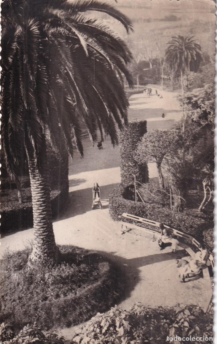 Postales: 32 Puentedeume. Jardines. Ed Lib L. Torre. Sin circular. - Foto 1