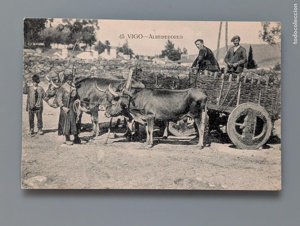 Postales: RARA POSTAL N&deg; 45 VIGO ALREDEDORES TIPOS GALLEGOS CARRO BUEYES EDIC TAFALL PONTEVEDRA GALICIA