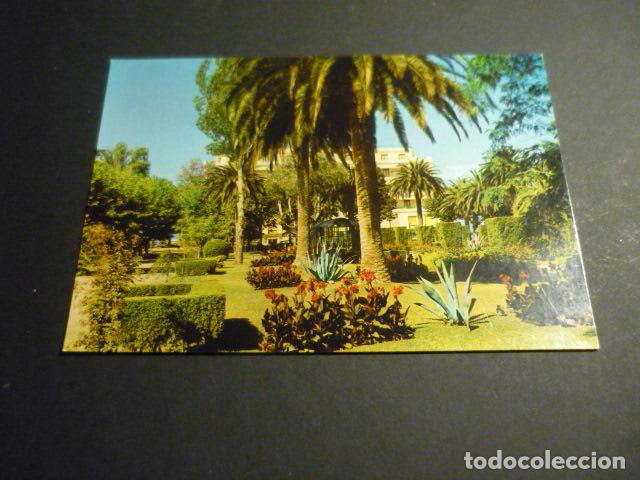 Postales: LA TOJA PONTEVEDRA TARJETA POSTAL