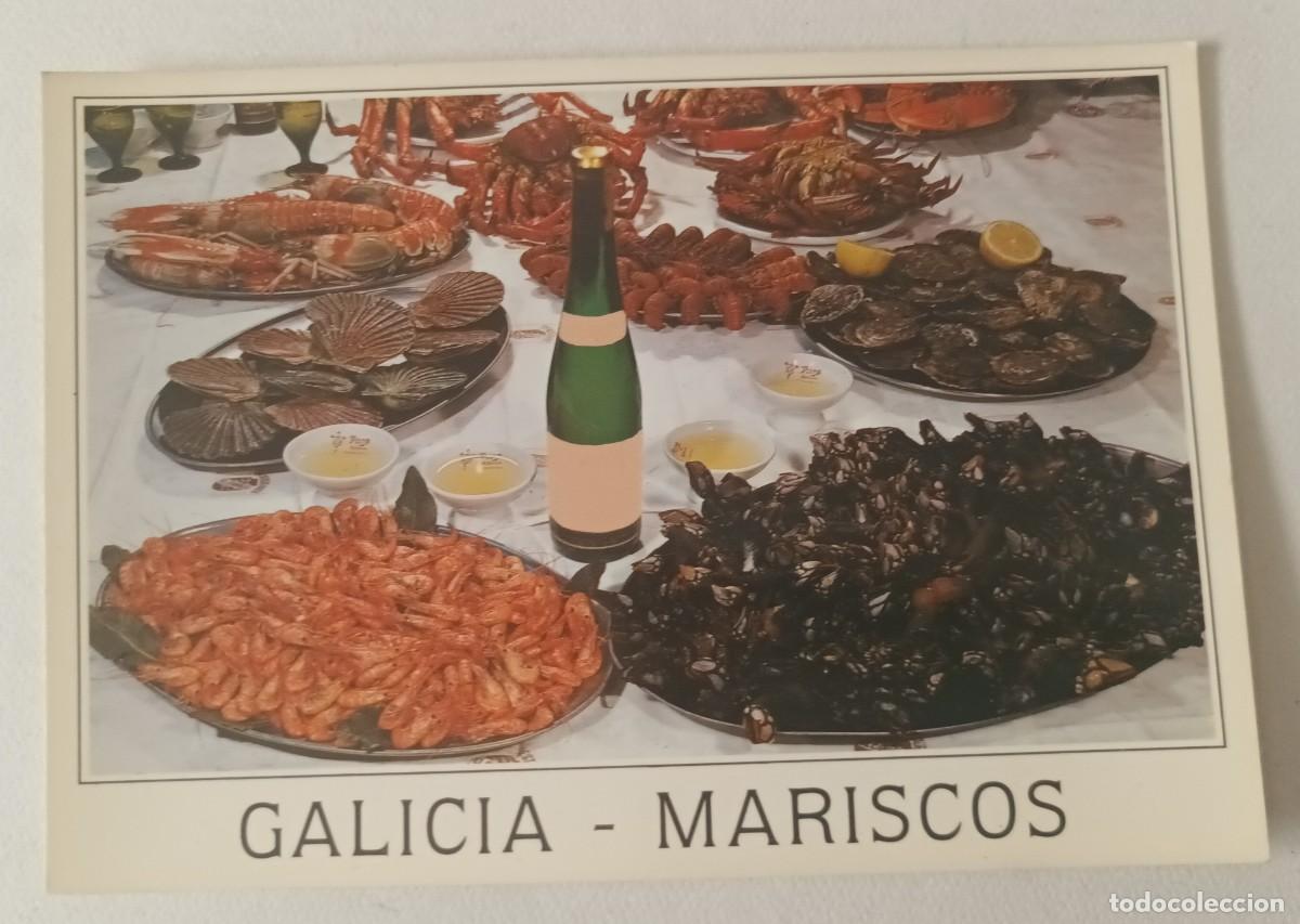 Cartoline: GALICIA. MARISCOS TIPICOS (1992) - POSTALES FAMA