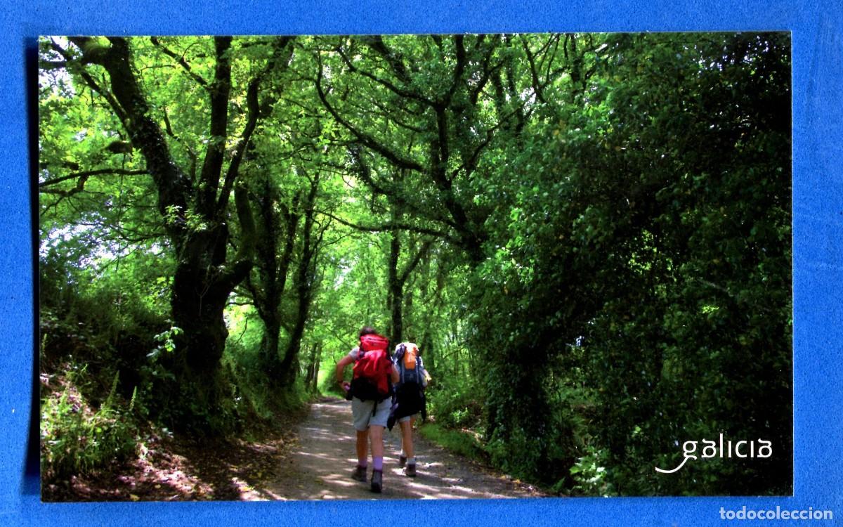 Postales: POSTAL SIN CIRCULAR GALICIA EDITA TURISMO