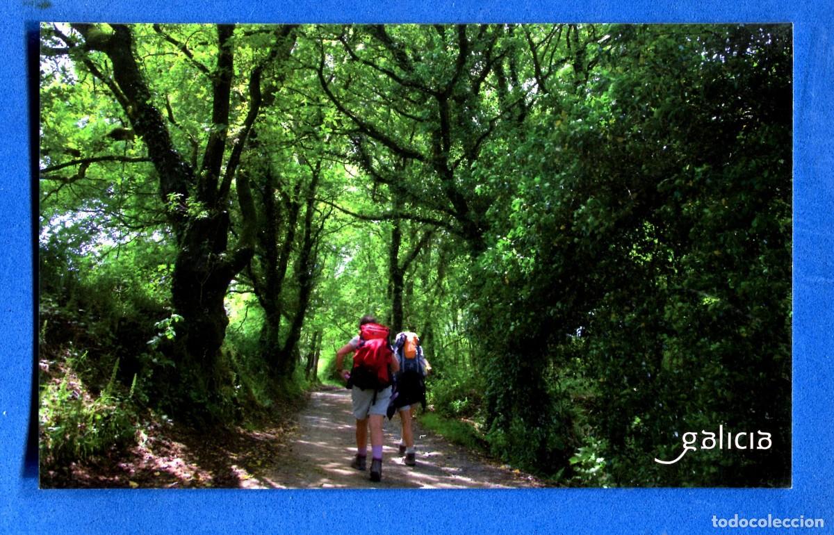 Postales: POSTAL SIN CIRCULAR GALICIA EDITA TURISMO
