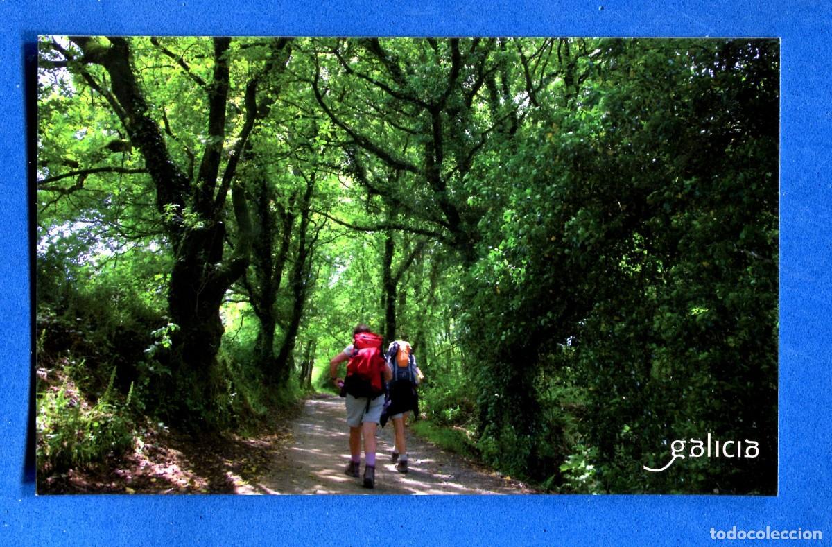 Postales: POSTAL SIN CIRCULAR GALICIA EDITA TURISMO