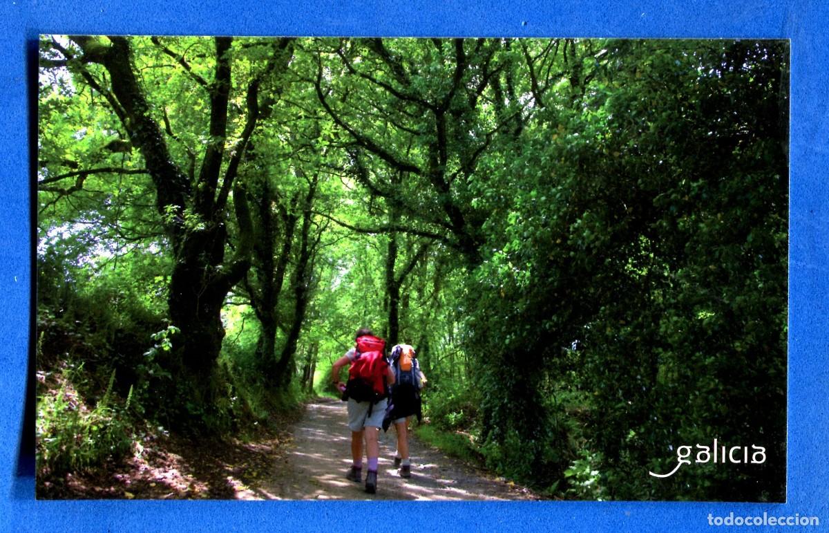Postales: POSTAL SIN CIRCULAR GALICIA EDITA TURISMO