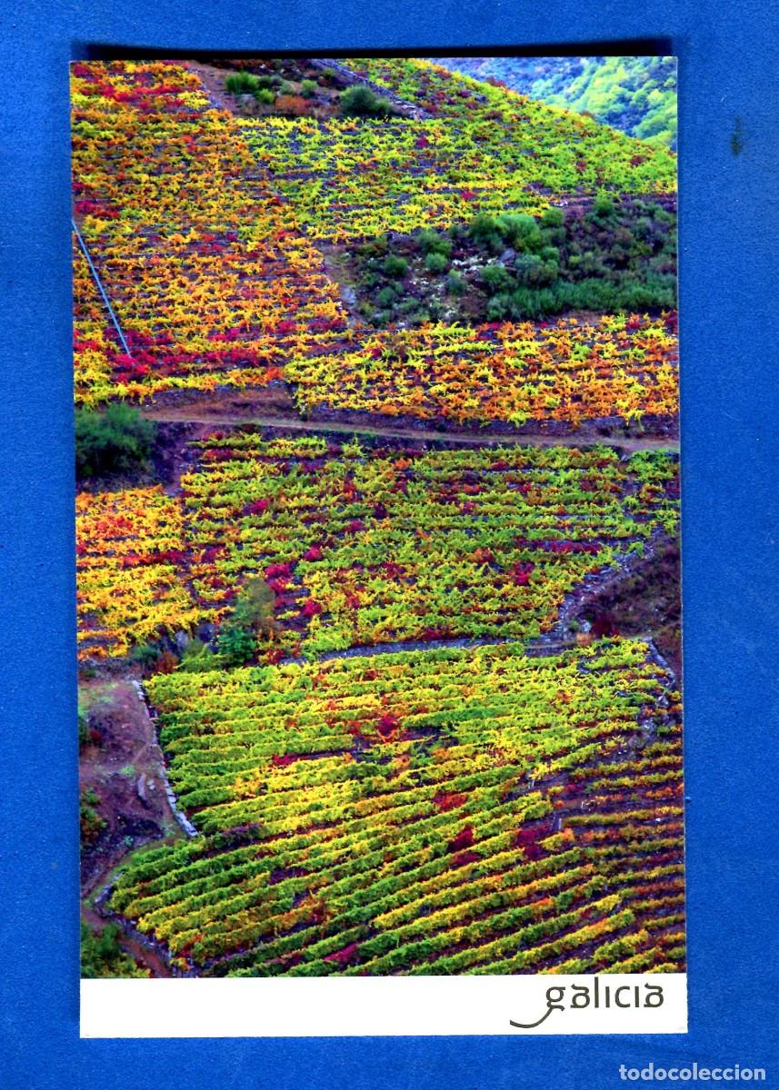 Postales: POSTAL SIN CIRCULAR GALICIA EDITA TURISMO