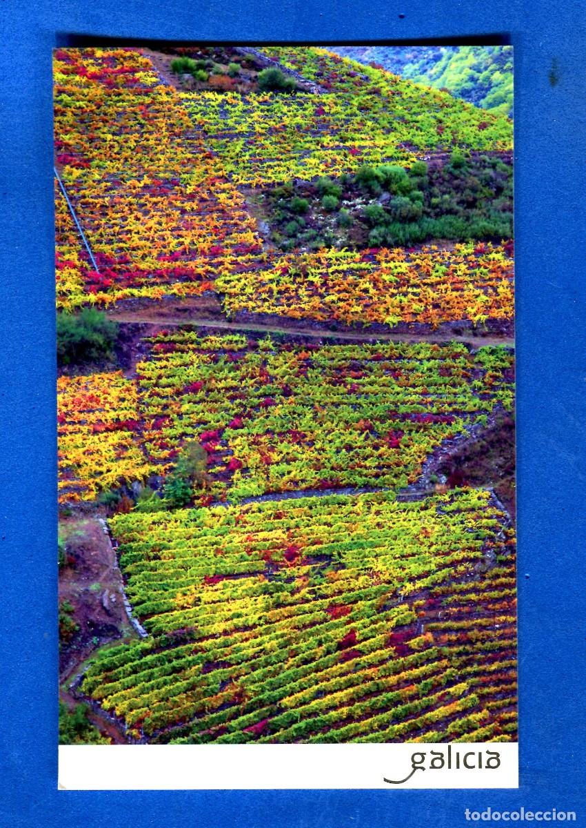 Postales: POSTAL SIN CIRCULAR GALICIA EDITA TURISMO