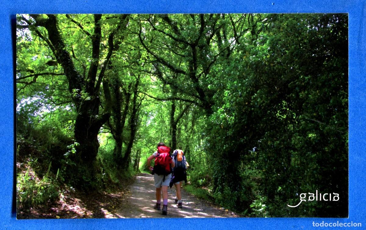 Postales: POSTAL SIN CIRCULAR GALICIA EDITA TURISMO