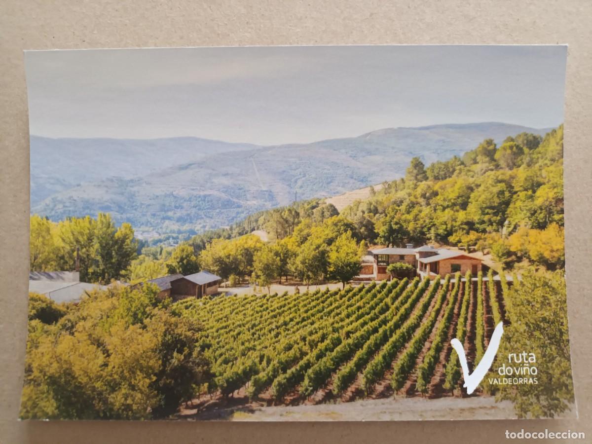 Postales: ENOTURISMO GALICIA. RUTA DO VI&Ntilde;O VALDEORRAS (OURENSE)