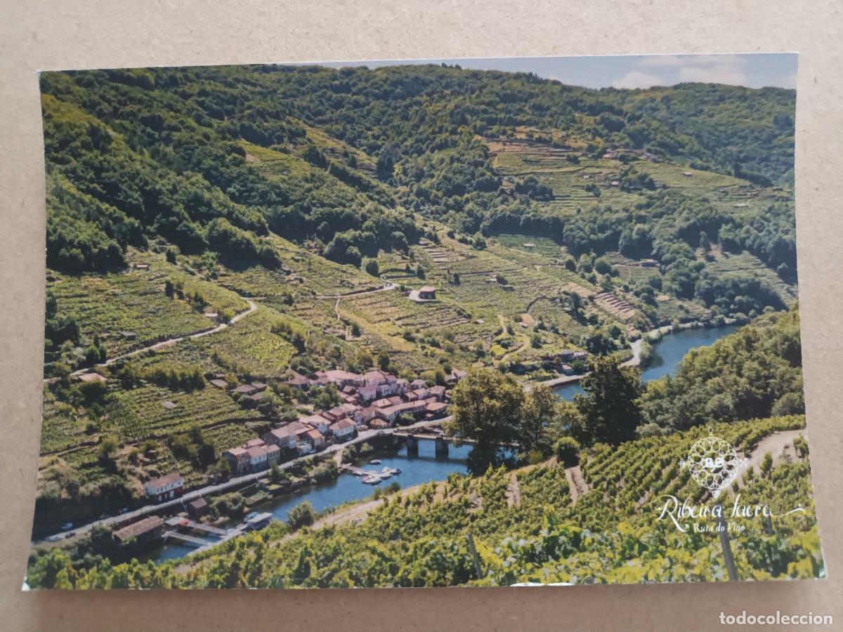 Postales: ENOTURISMO GALICIA. RUTADO DO VI&Ntilde;O RIBEIRA SACRA (BELESAR. LUGO)