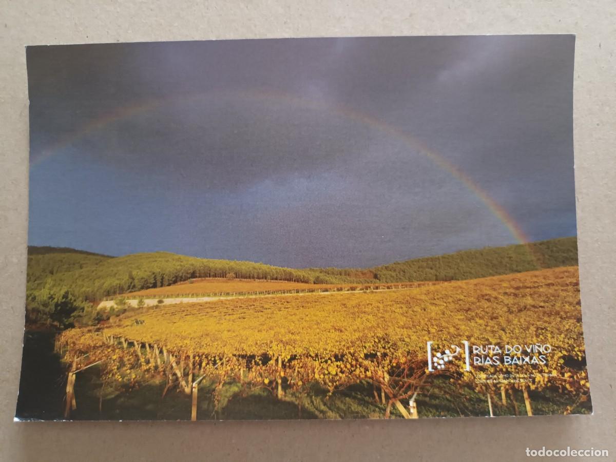 Postales: ENOTURISMO GALICIA. RUTA DO VI&Ntilde;O RIAS BAIXAS (PONTEVEDRA)