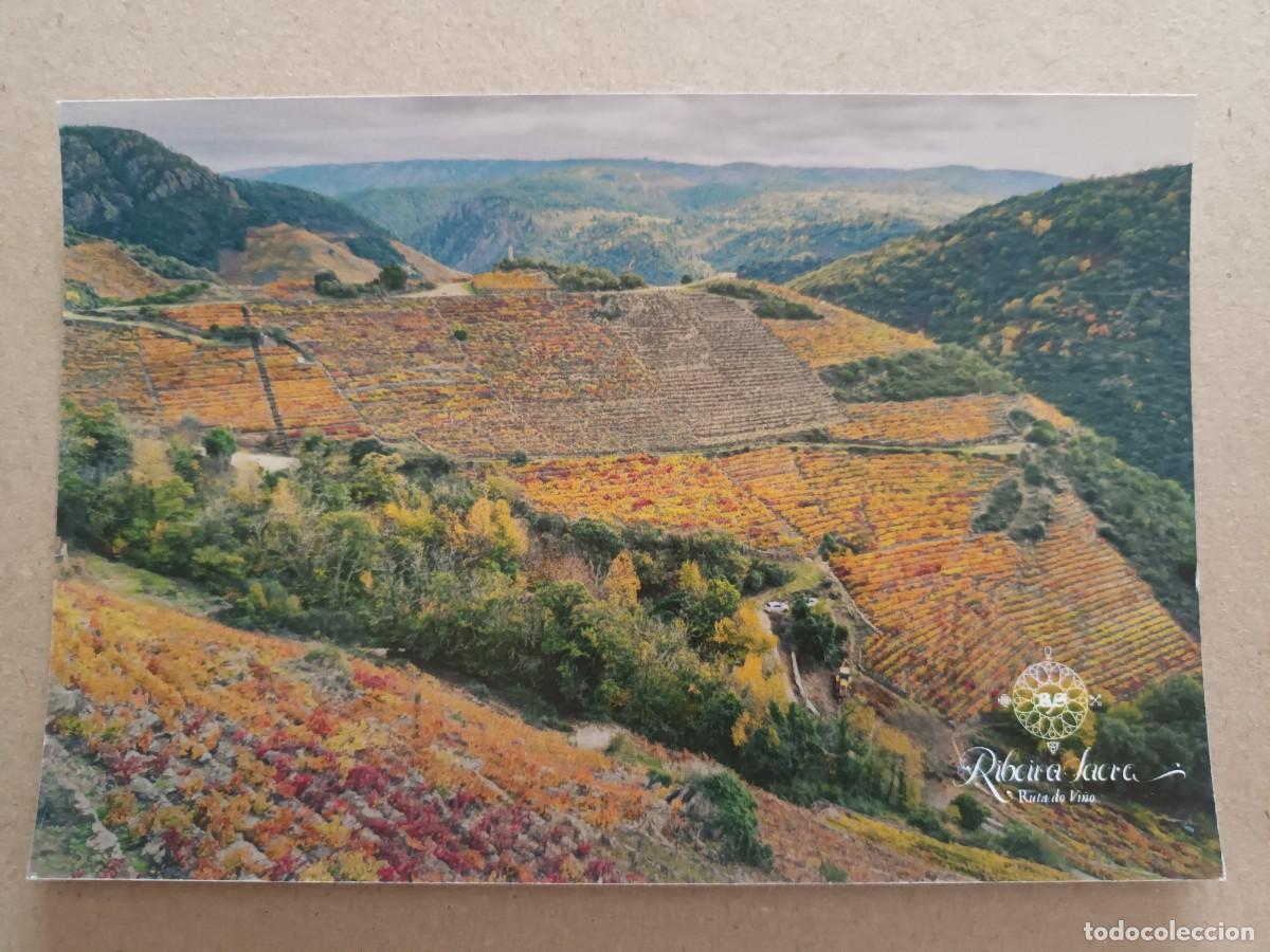 Postales: ENOTURISMO GALICIA. RUTA DO VI&Ntilde;O RIBEIRA SACRA