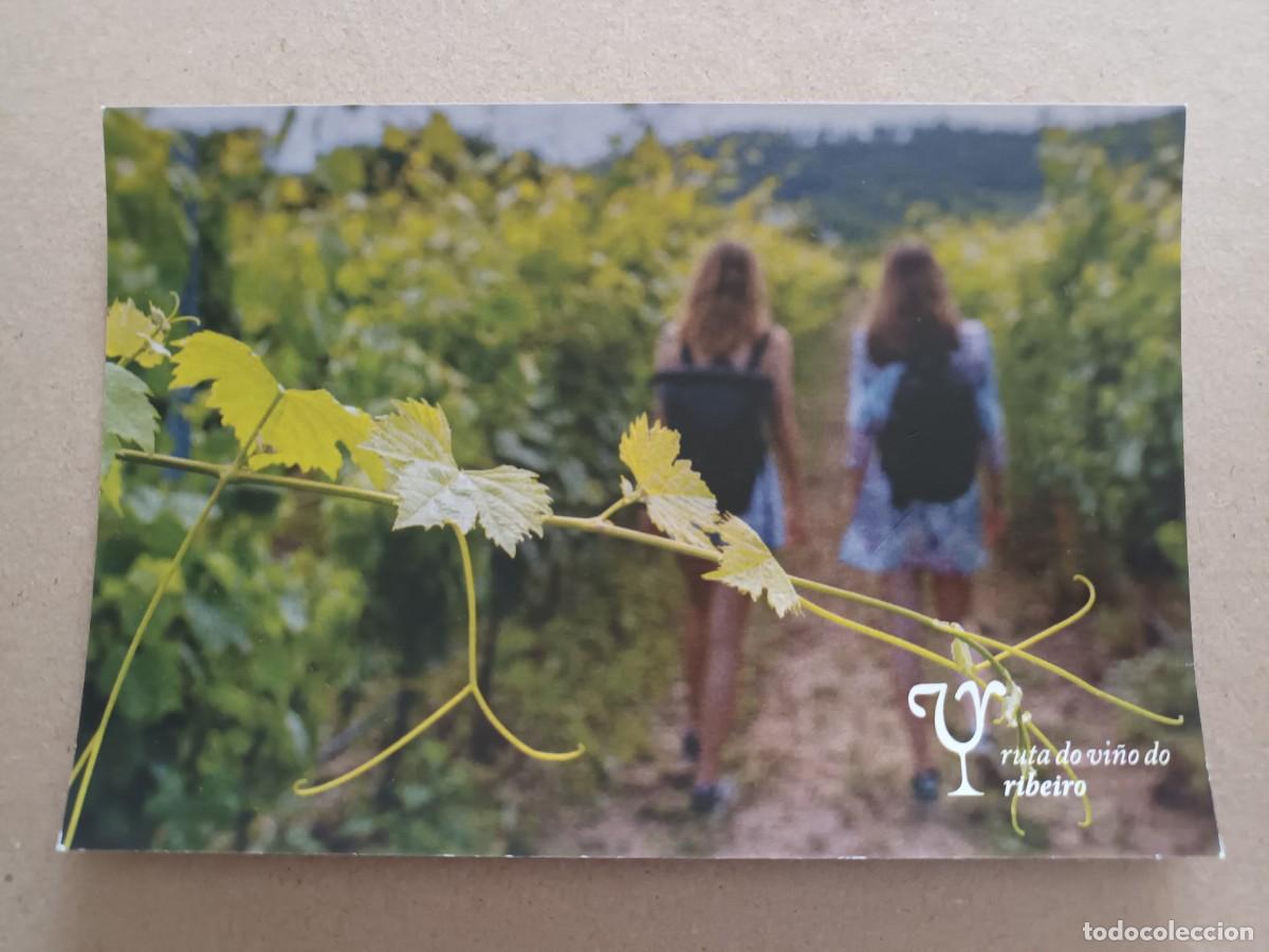 Postales: ENOTURISMO GALICIA. RUTA DO VI&Ntilde;O DO RIBEIRO (GALICIA)