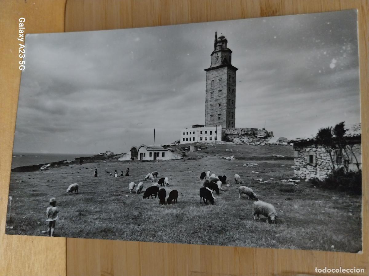 Postales: TORRE HERCULES CORU&Ntilde;A ED FISA 43 CIRCULADA A&Ntilde;O 1959 NI&Ntilde;OS Y OVEJAS