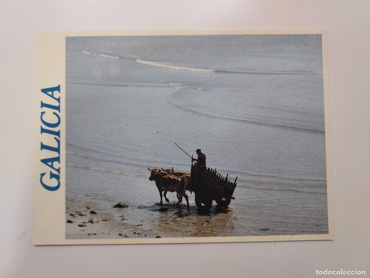 Postales: POSTAL MUROS ESTEIRO. S/C. CORU&Ntilde;A. XUNTA GALICIA TURISMO