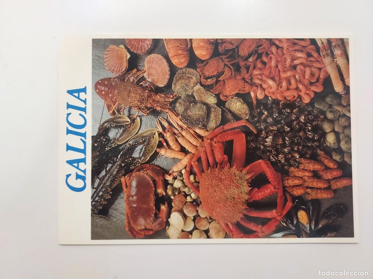 Postales: POSTAL GALICIA GASTRONOMIA MARISCOS. S/C. (CORU&Ntilde;A). XUNTA GALICIA TURISMO