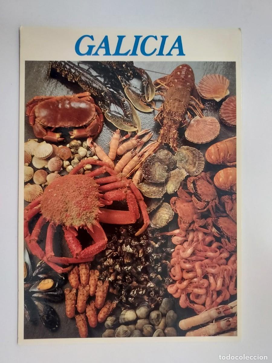 Postales: POSTAL GALICIA GASTRONOMIA MARISCOS. S/C. (CORU&Ntilde;A). XUNTA GALICIA TURISMO