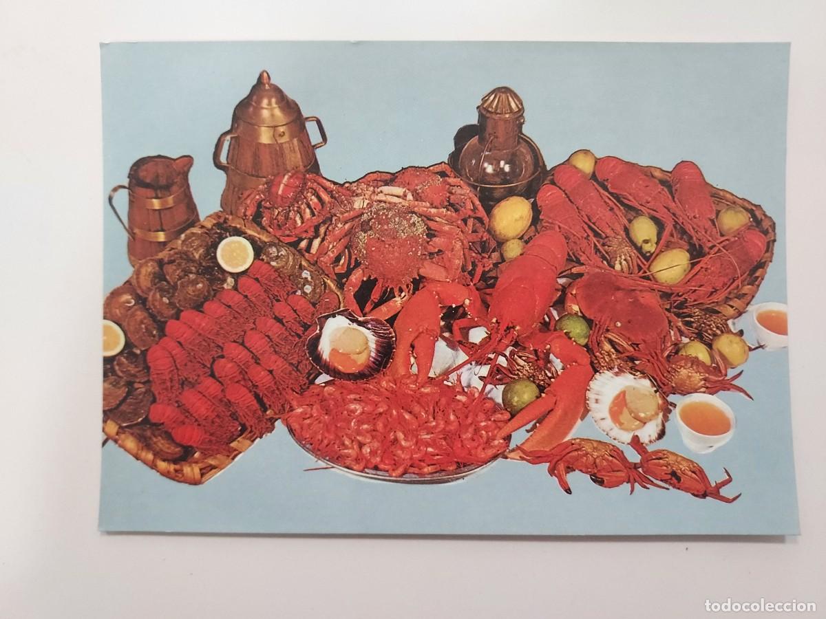 Postales: POSTAL GALICIA MOLUSCO DE LA TIERRA. MARISCOS. S/C. (CORU&Ntilde;A)