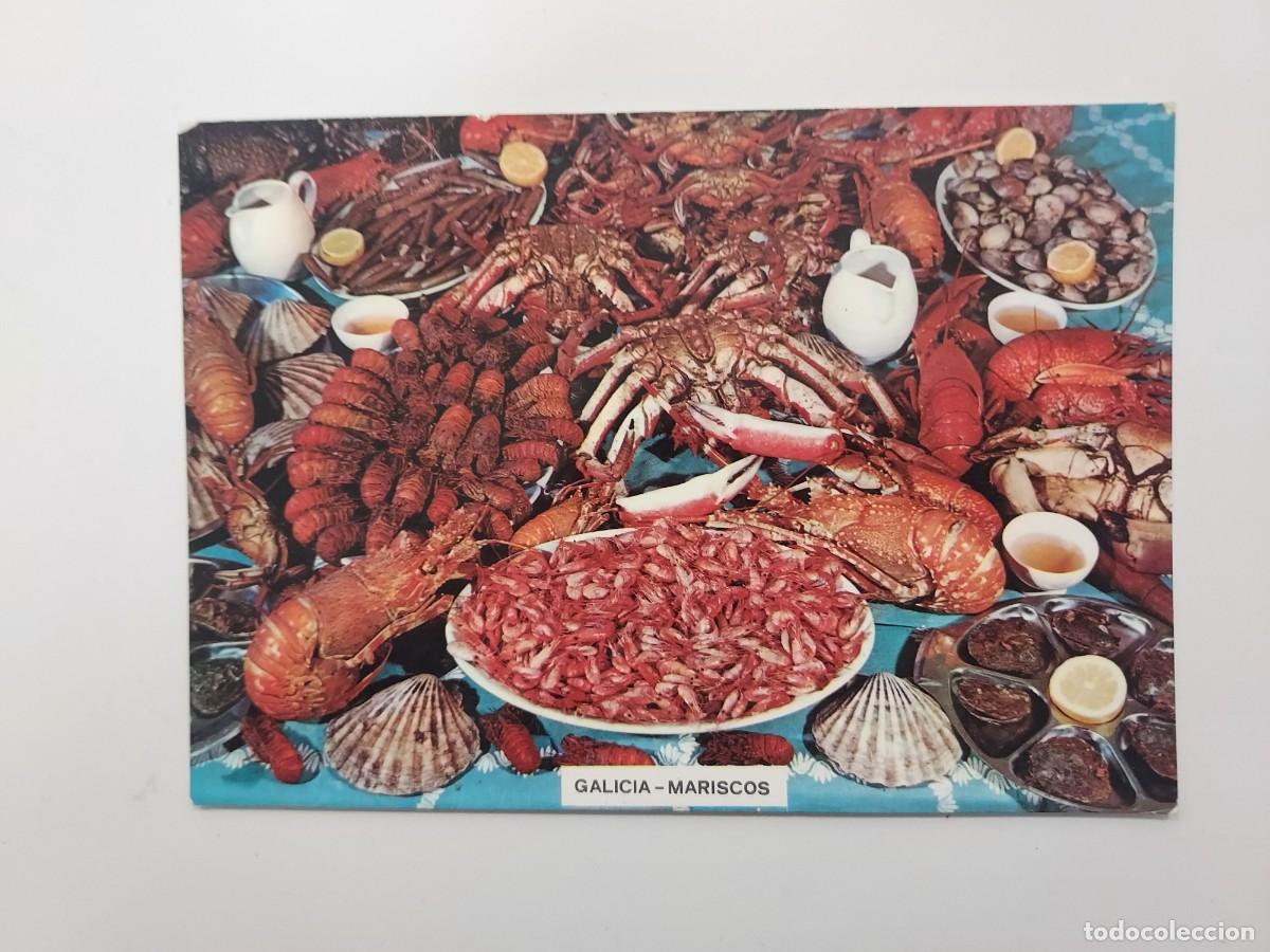 Postales: POSTAL GALICIA MARISCOS, MARISCADA, BODEGON. S/C. (CORU&Ntilde;A)
