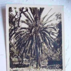 Postales: GUERRA CIVIL : POSTAL DE GIBRALTAR ENVIADA A PILOTO AVIACION EN SEVILLA, 1936 . SELLO REY JORGE.. Lote 143777134