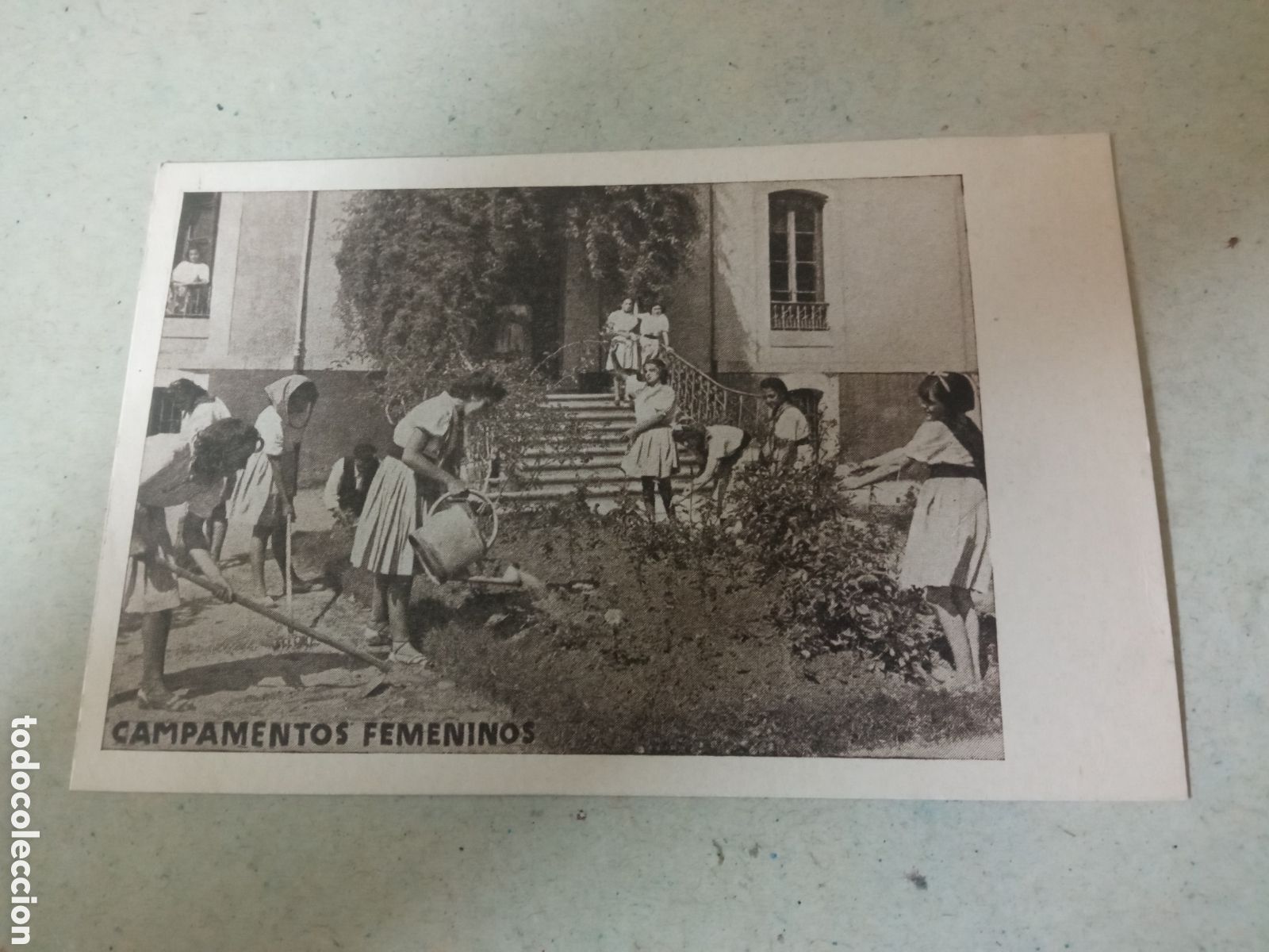 Postales: Antigua postal fotogr&aacute;fica, Campamentos Femeninos, Frente de Juventudes
