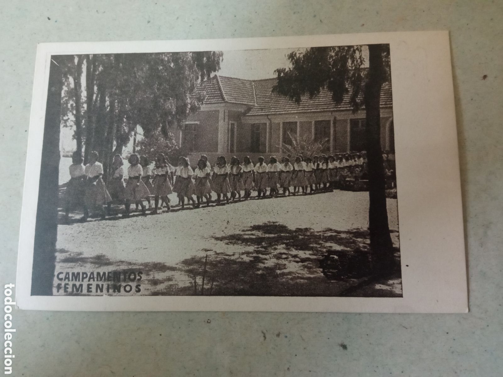 Postales: Antigua postal fotogr&aacute;fica, Campamentos Femeninos, Frente de Juventudes