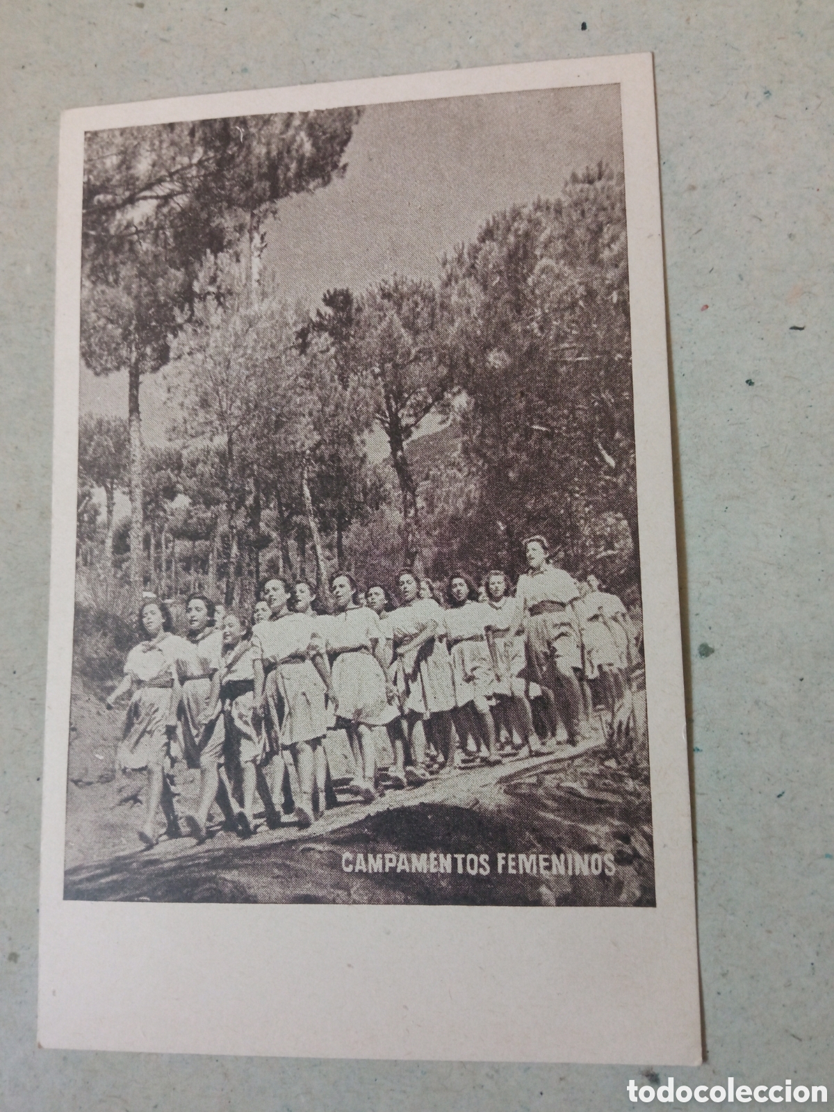 Postales: Antigua postal fotogr&aacute;fica, Campamentos Femeninos, Frente de Juventudes