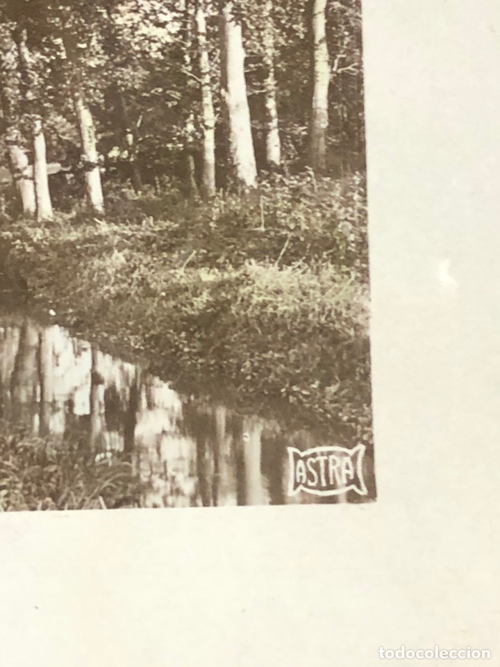 Postales: Tarjeta postal bosque y r&iacute;o 1909 - Foto 2