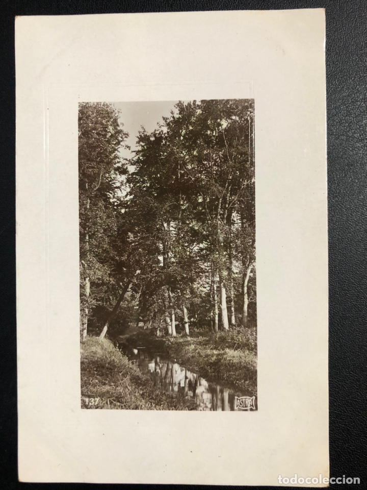 Postales: Tarjeta postal bosque y r&iacute;o 1909 - Foto 1