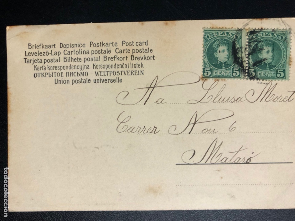 Postales: Tarjeta postal bosque - Foto 2