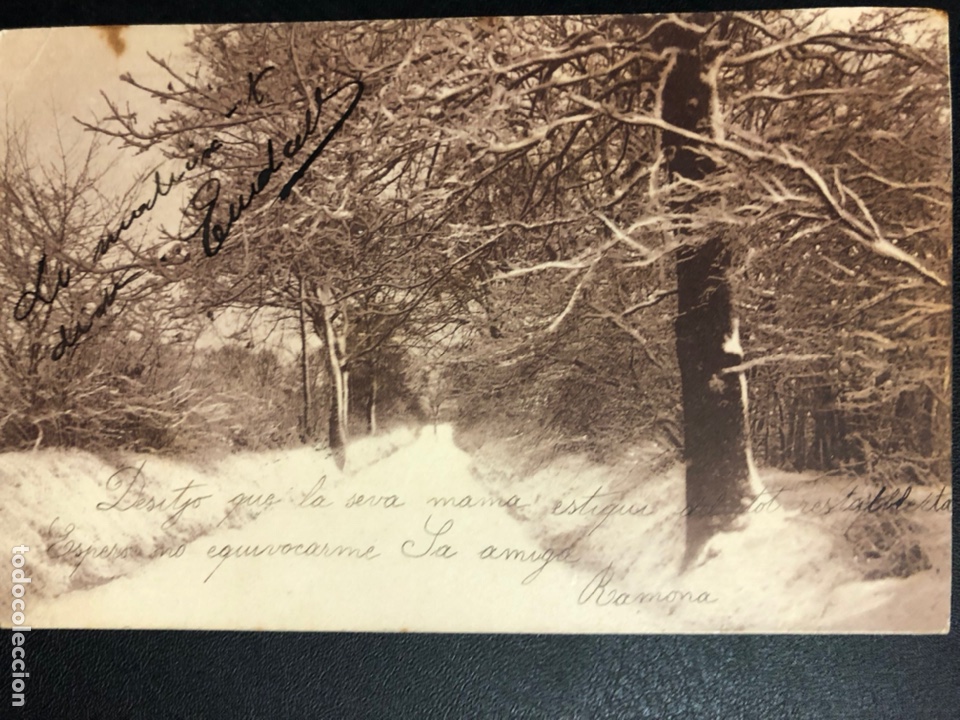 Postales: Tarjeta postal bosque - Foto 1